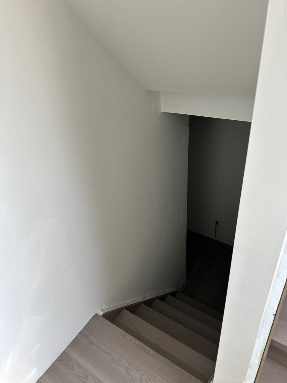 Basement Dev