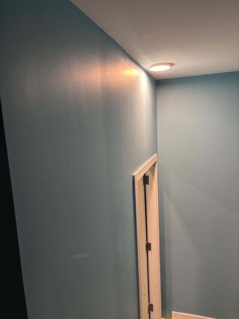 Basement Dev